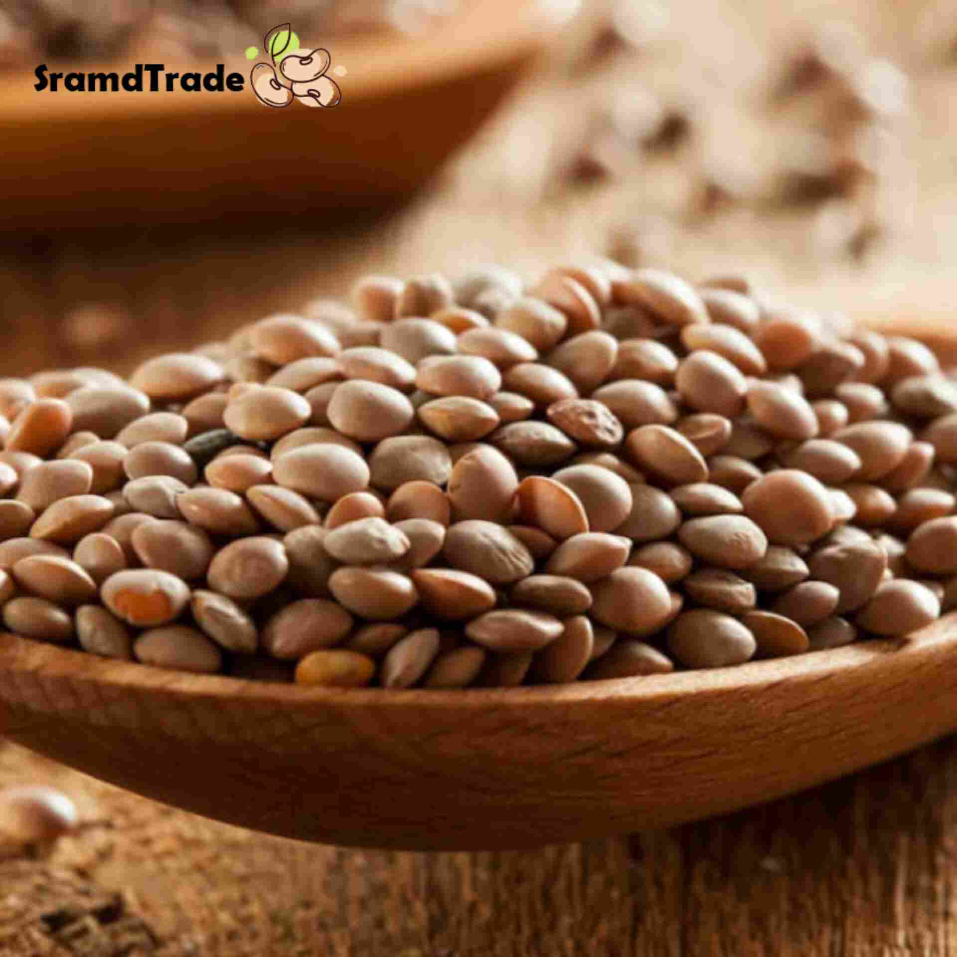 نکات مهم در خرید عدس عمده 