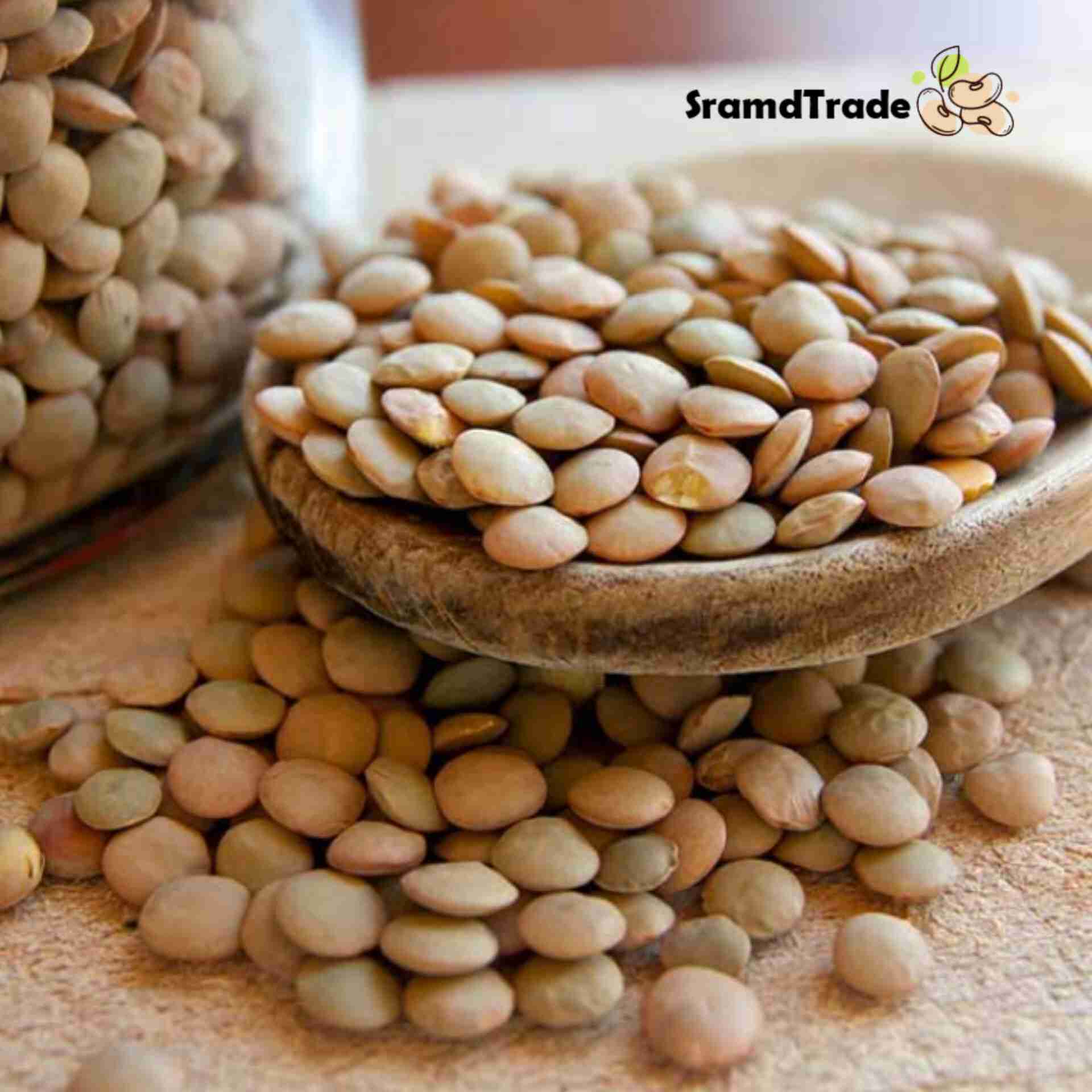 قیمت عدس عمده در بازار